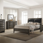 Emily Gray Oak Sleek Contemporary Modern Transitional Storage Platform Bedroom Set