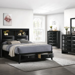 Fallon Black Finish, Modern And Sleek LED Bookcase Storage Platform Bedroom Set